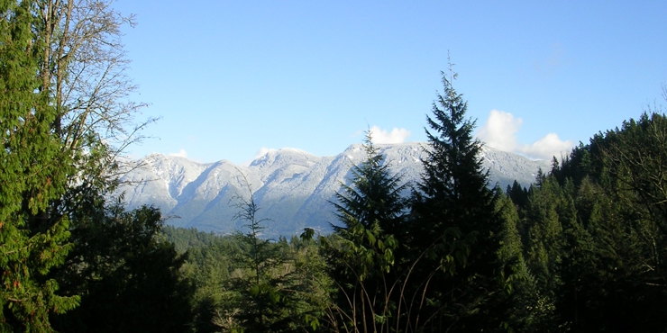 Belterra Mountain View